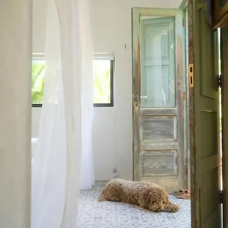 Holiday home The Tortuga Banana House