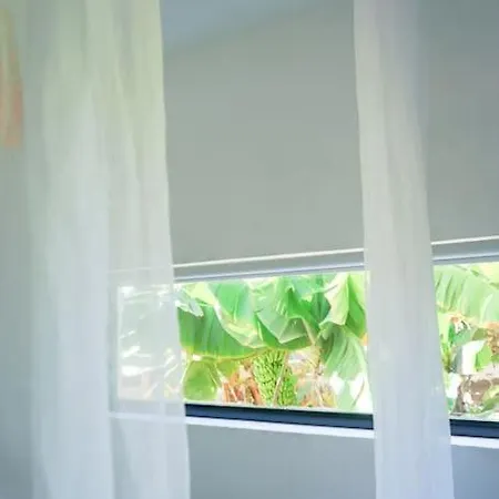 The Tortuga Banana House Arucas