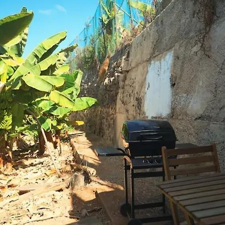 The Tortuga Banana House *