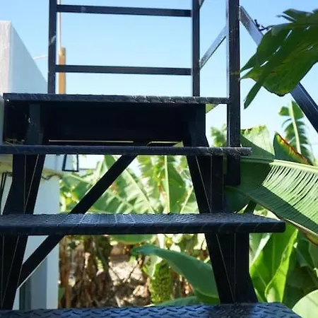 The Tortuga Banana House Holiday home